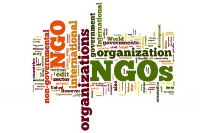 Government and NGOs